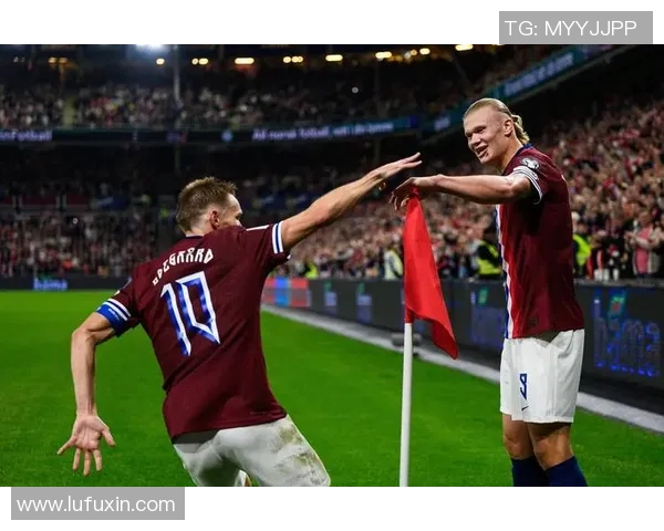 预测:哈兰德胜率几何?数据模型告诉你答案 预测:哈兰德胜率几何?数据模型告诉你答案