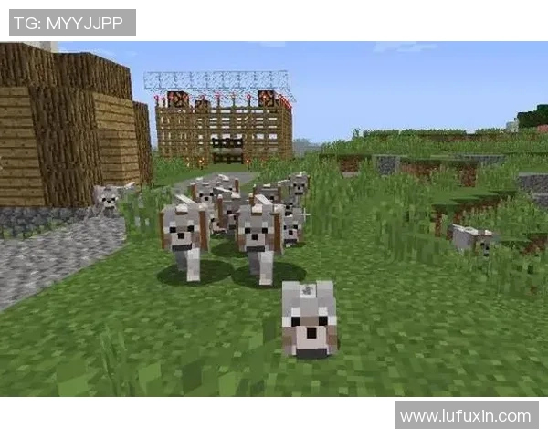 凯尔特人队鲜为人知的十大冷知识揭秘 你可能从未听说过的惊人事实 凯尔特人队鲜为人知的十大冷知识揭秘 你可能从未听说过的惊人事实